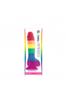 Tęczowe dildo Ns Novelties Colours Pride Edition 6”